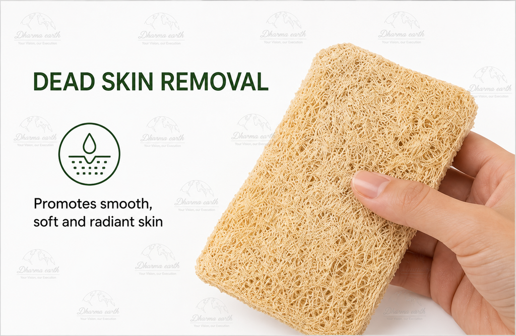 Dharma Earth Natural Loofah Bath Sponge | Pack of 2